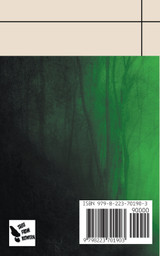 Elin Olausson's Shadow Paths