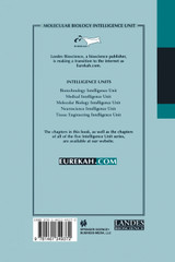 Nuclear Envelope Dynamics in Embryos and Somatic Cells
