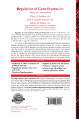 Regulation of Gene Expression Regulation of Gene Expression