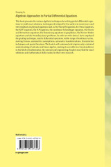 Algebraic Approaches to Partial Differential Equations