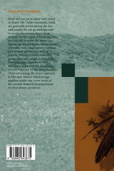 Avian Desert Predators