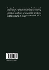 The Sea Urchin Embryo