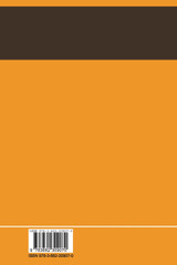 Transient Electromagnetic Fields