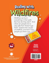 Dealing with Wildfires