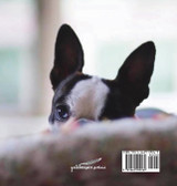 Find a Boston