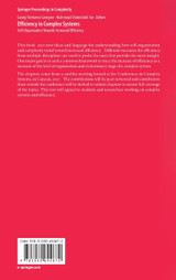 Efficiency in Complex Systems