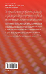 Efficient Nonlinear Adaptive Filters