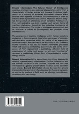 Beyond Information