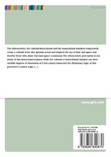 Intercultural Errors Versus Transcultural Solutions