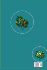 AROMATERAPIA DE LA MEDICINA CHINA Y LOS ACEITES ESENCIALES MODERNOS