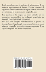 El Ámbito de Acción de los Órganos