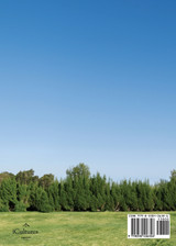 Mausoleum Stone Carvings of China's Southern Dynasties