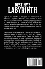 Destiny's Labyrinth, A Novella