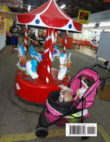 Fifi Goes to the Flea Market in full color