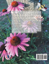 Honey Bees ABC's