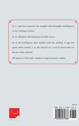 The Mystical Magical Miracle The Mystical Magical Miracle