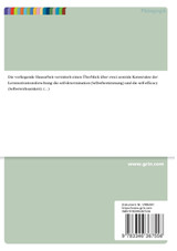 Selbstbestimmung und Selbstwirksamkeit als Motivatoren des Lernprozesses. Vergleich der humanistischen und der sozial-kognitiven Perspektive