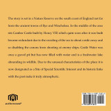 The Ghost of Camber Castle The Ghost of Camber Castle