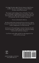 THE HORSEA MARINA MURDERS a gripping crime thriller full of twists