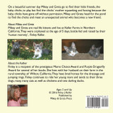 The Kittens and The Baby Chicks
