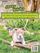 Jazzy Sticks