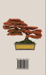 Bonsai für Männer