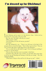 Adventures of MS Kelly in Miami