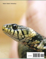 Grass Snakes