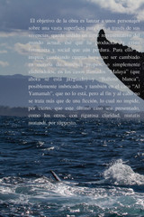 LA HORA DE LEVIATÁN