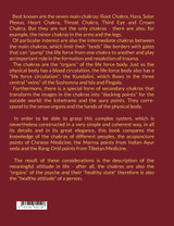 The Chakra System with the Minor Chakras The Chakra System with the Minor Chakras