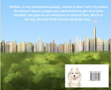 The Adventured of Mischief Mishka in Central Park The Adventured of Mischief Mishka in Central Park