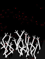 The Larcenist (Volume 3, Issue #1)