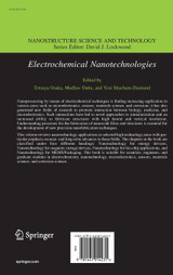 Electrochemical Nanotechnologies