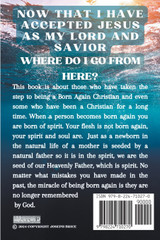 Born Again Now What Jesus