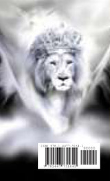 Frequency Within I&I Minds