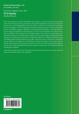 TGF-β Signaling TGF-β Signaling