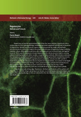 Hepatocytes Hepatocytes