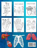 Human Body coloring & Activity Book for Kids| Simple Book to Learn About the Human Body