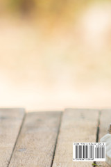 OMAANI RIKKUSLIKUD MAITSED