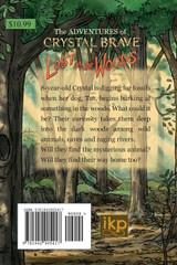 The Adventures of Crystal Brave The Adventures of Crystal Brave