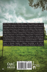 No One Sees the Irony