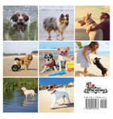 Beach Dogs, A No Text Picture Book Beach Dogs, A No Text Picture Book