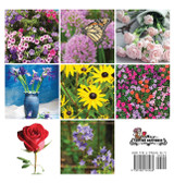 Flowers, A No Text Picture Book Flowers, A No Text Picture Book