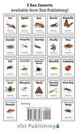 Stink Bug Stink Bug