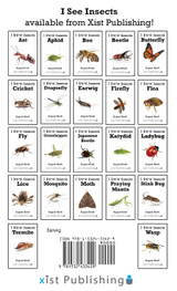 Earwig Earwig