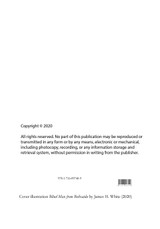 Blind Man from Bethsaida Journal Paperback