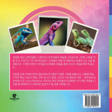 주니어 레인보우, 도마뱀의 색깔