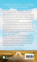 Second-Chance Horses