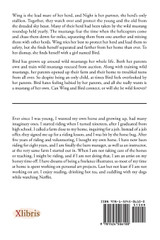 Bird's Wing Bird's Wing