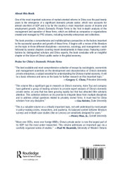 China's Domestic Private Firms